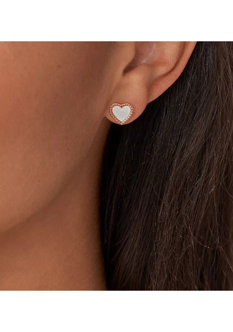 Fossil, JF03692791 — thumbnail 3